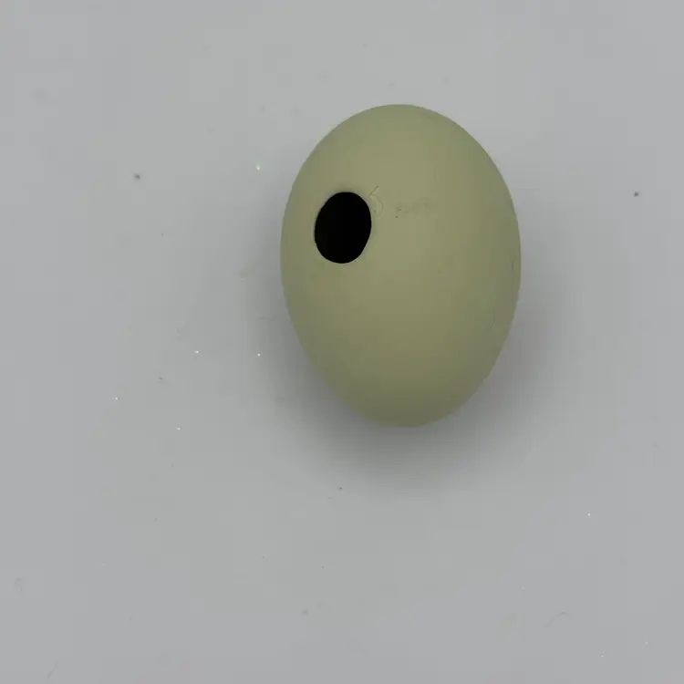 Ceramic Egg With Chick