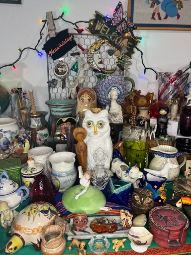 ✨Late Night🌛Scan My Shelves✨