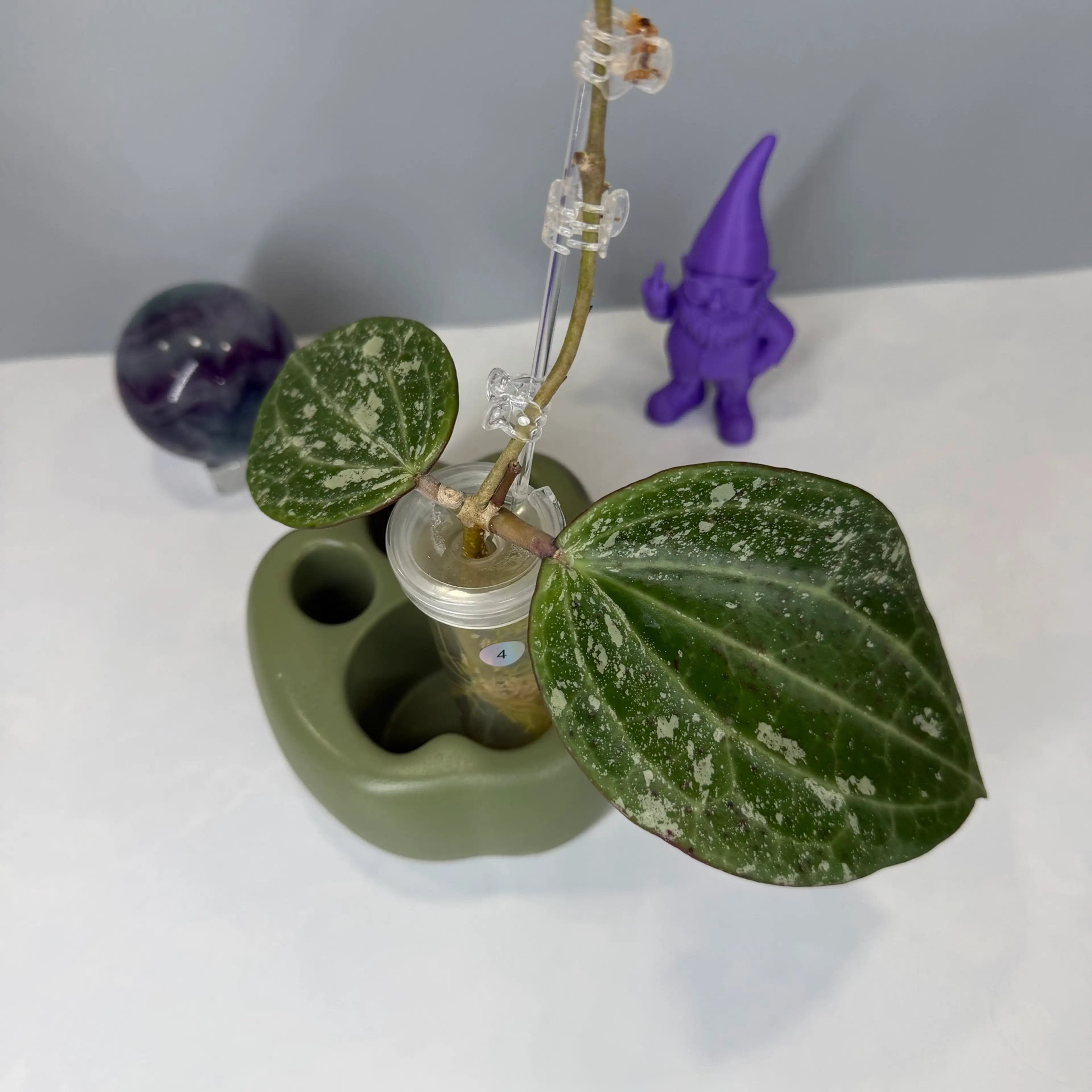 Image 2 of 5