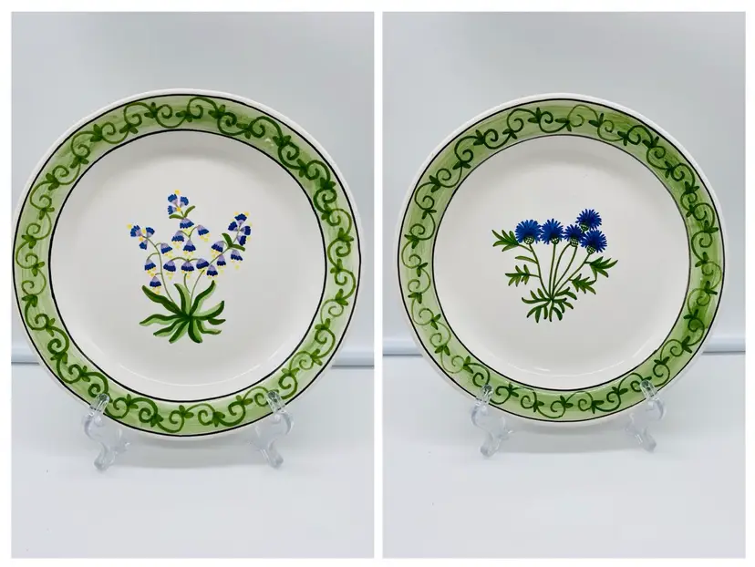 2 Hand Painted Floral Plates Portugal Casafina Madeira 8-3/4”