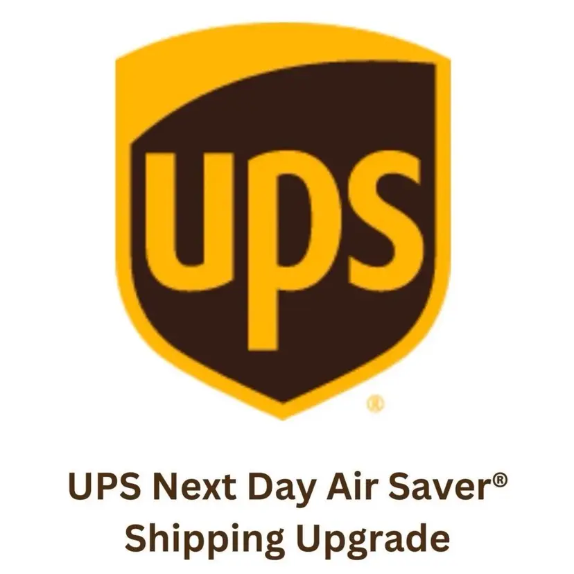 UPS Next Day Air Saver