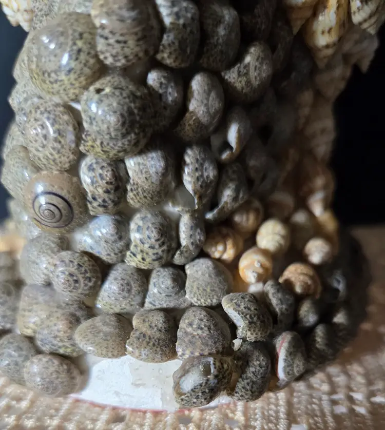 Folk Art Shell Rooster