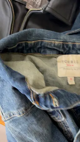 Woman's Fall 8pc Wholesale Lot