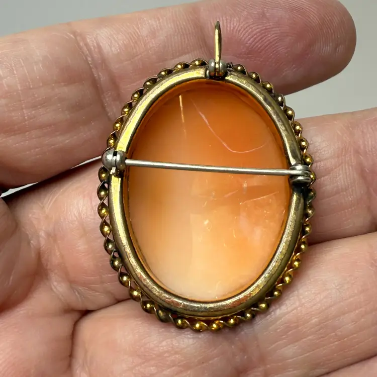 Vintage Genuine Shell Left Facing Cameo Brooch Pin Pendant Convertible