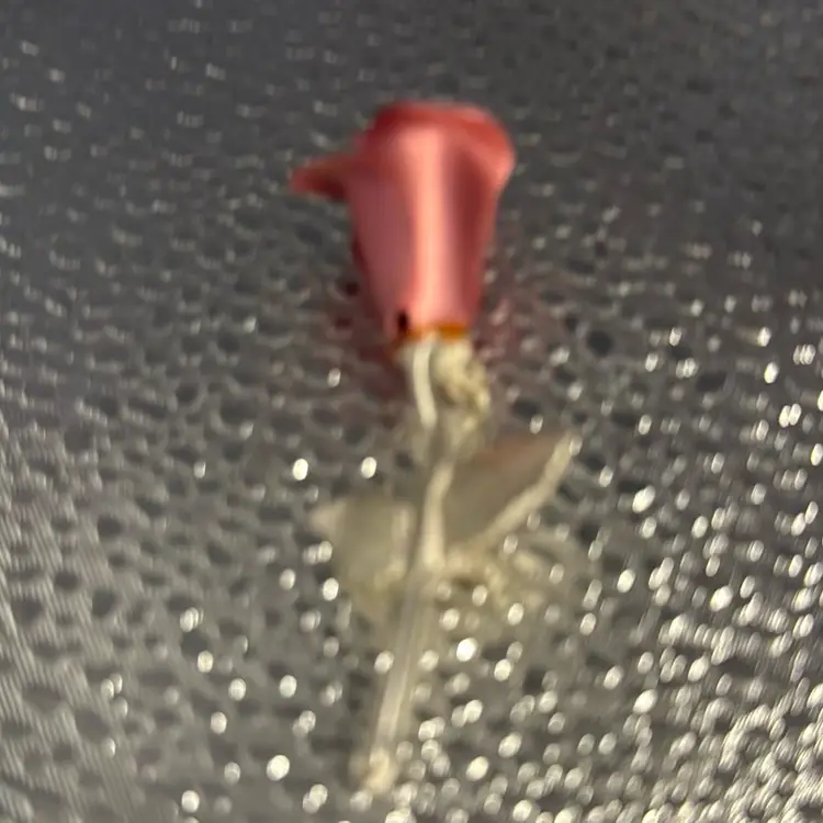 Avon Pink Gorgeous Brooch