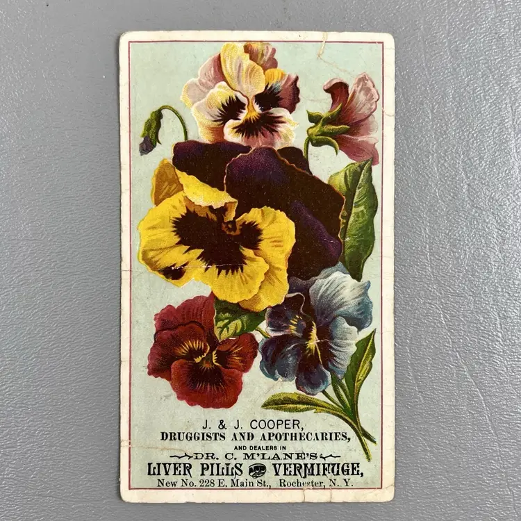 Victorian Trade Card J&J Cooper Druggist Apothecaries Rochester NY Liver Pills Pansy Flowers  3x5"