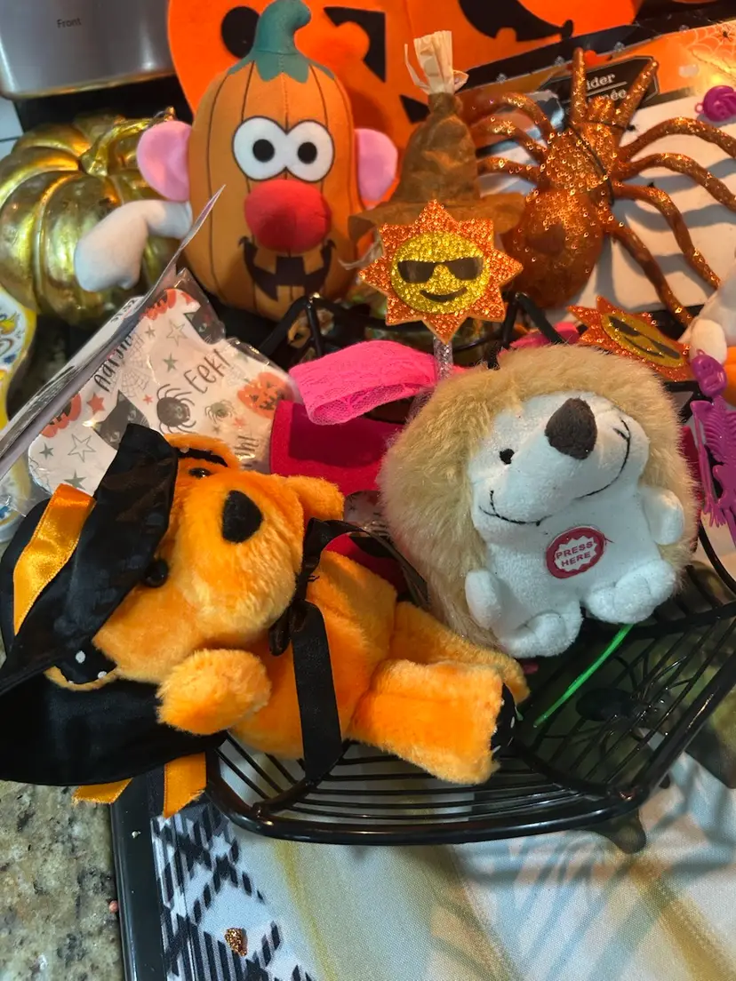 Big O Bag Of Fall & Halloween