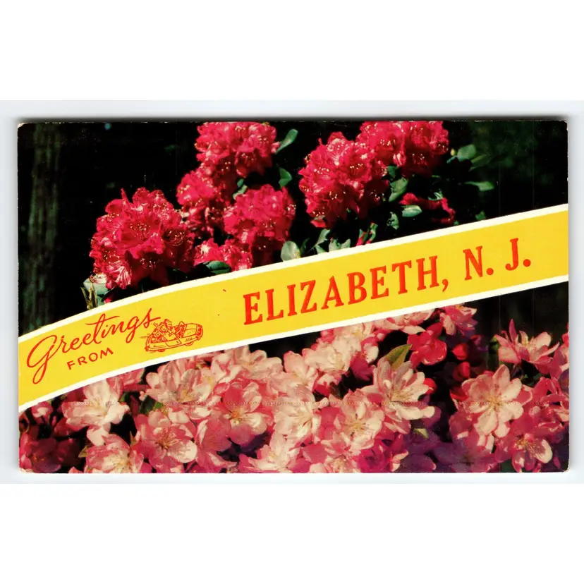 Greeting From Elizabeth New Jersey 1950's Chrome Flowers Large Letter Postcard