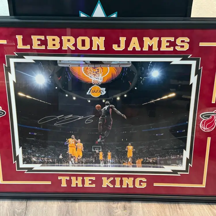 LeBron James Signed Autographed Miami Heat 36x26 Signed Frame - Extremely Rare