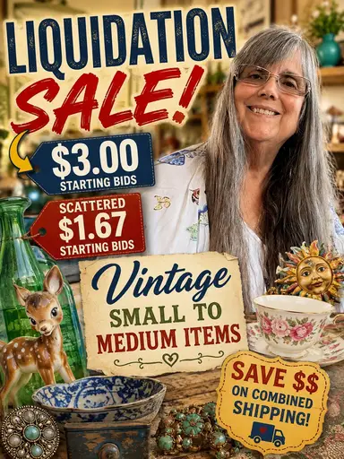 TREASURES MUST GO! * $3 Starts & Hidden $1.67 Finds! With Gina