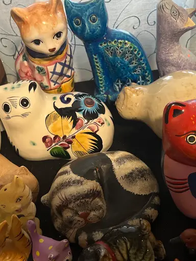 The Kitty Cat Show With A Lonely Duck!