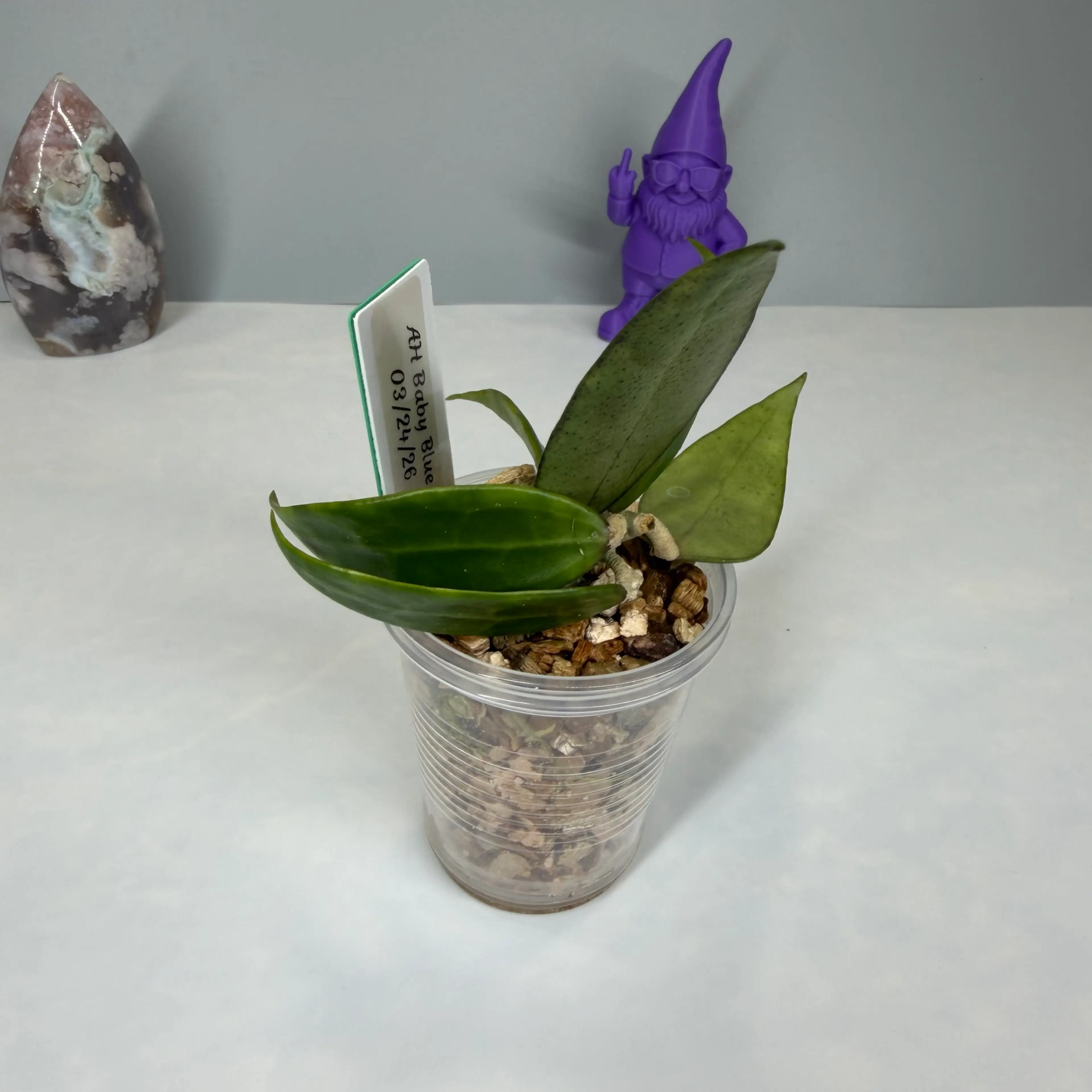 Image 4 of 4