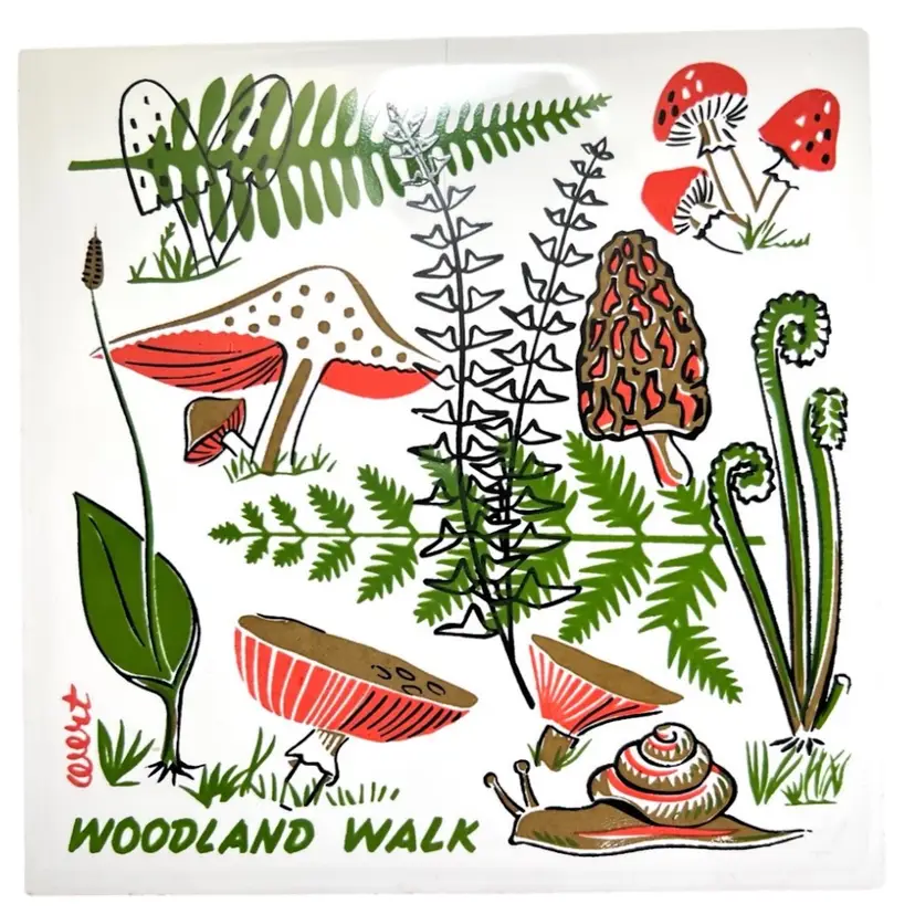 Robert Darr Wert “Woodland Walk” Vintage Ceramic Tile. Mushrooms, Ferns, And Snail Design. Size 6” x 6” x 1/4”.