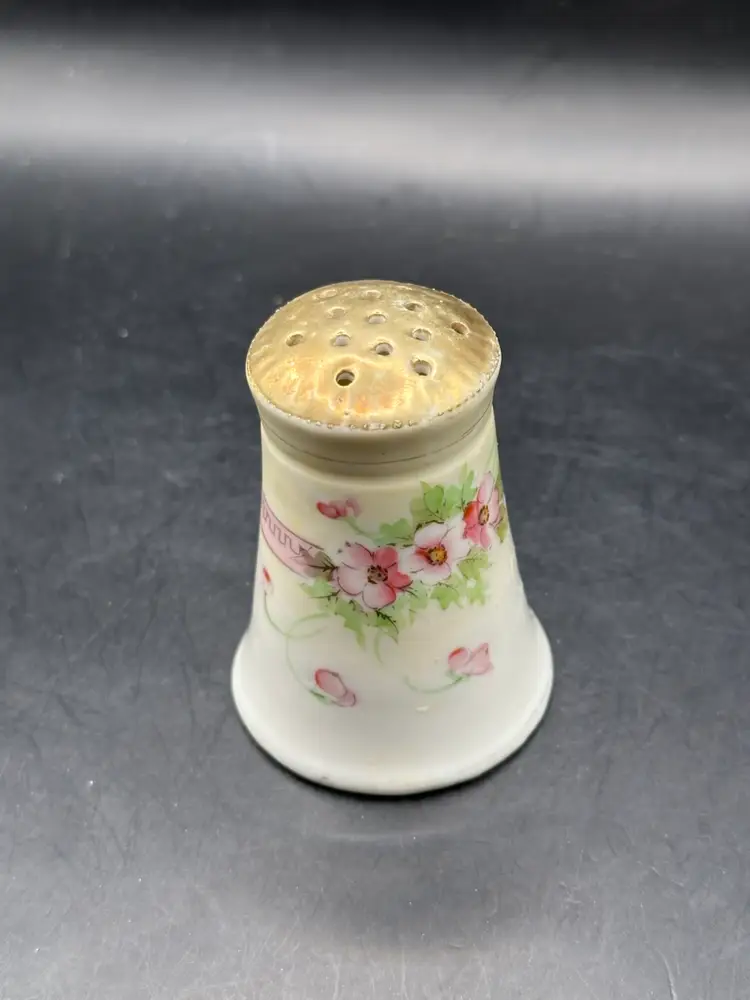 Antique Nippon Porcelain Moriage Shakers with Pink Flowers
