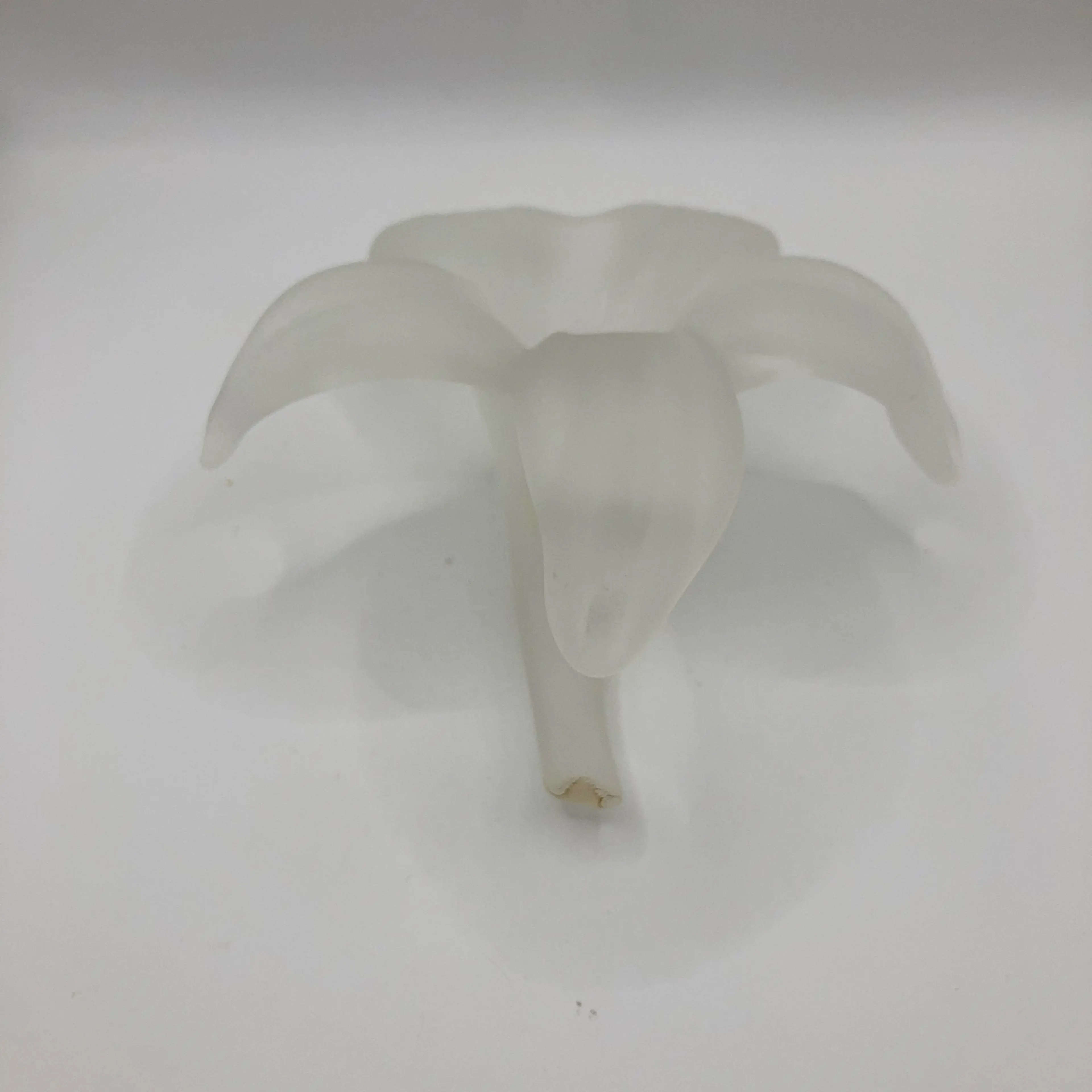 Image 4 of 6