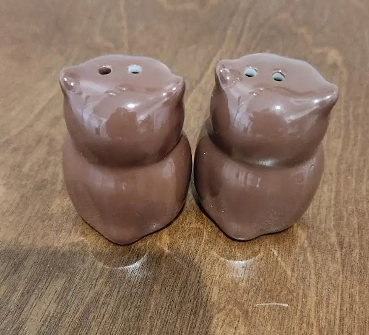 Brown Owls Salt & Pepper Set