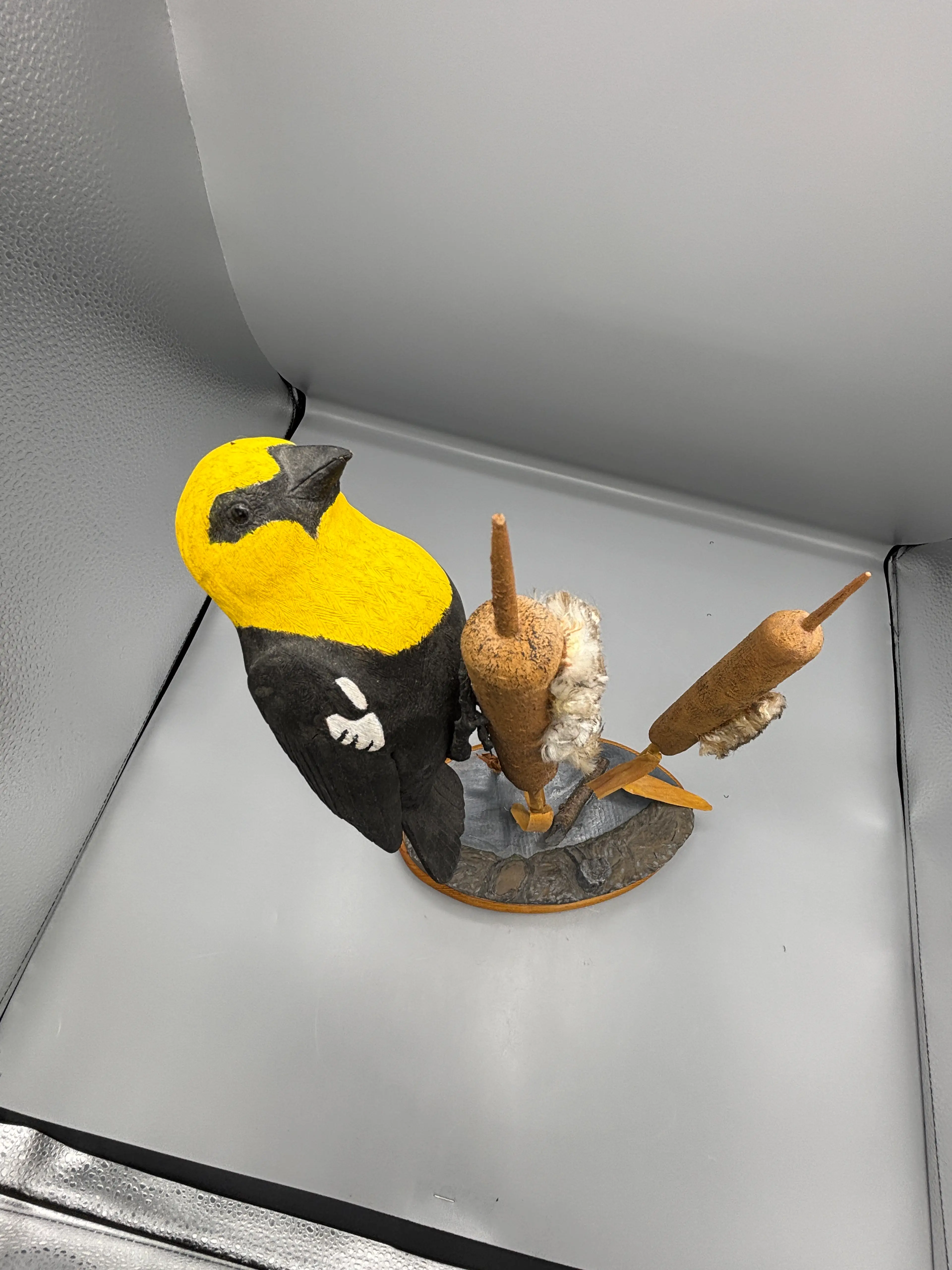 Image 5 of 6
