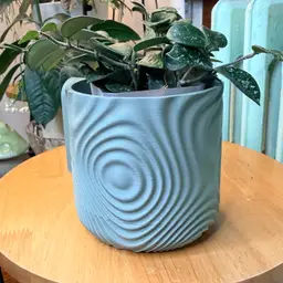 CUSTOM COLOR Wavy Wall Mounted Planter with Drip Tray