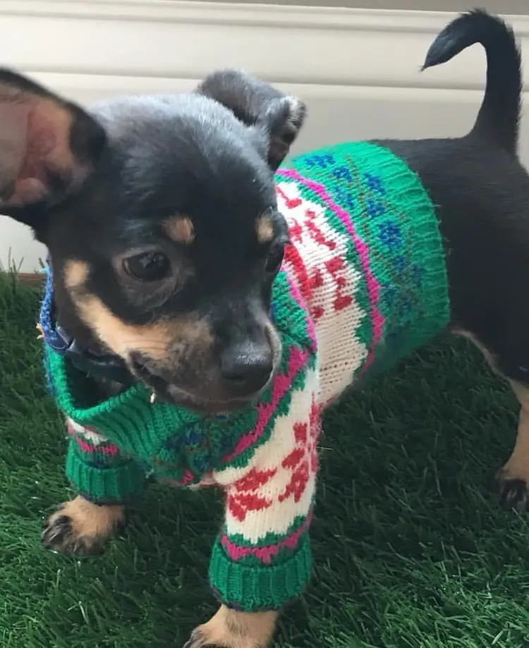 Let’s Get Wild!!!! With Vintage & Vino