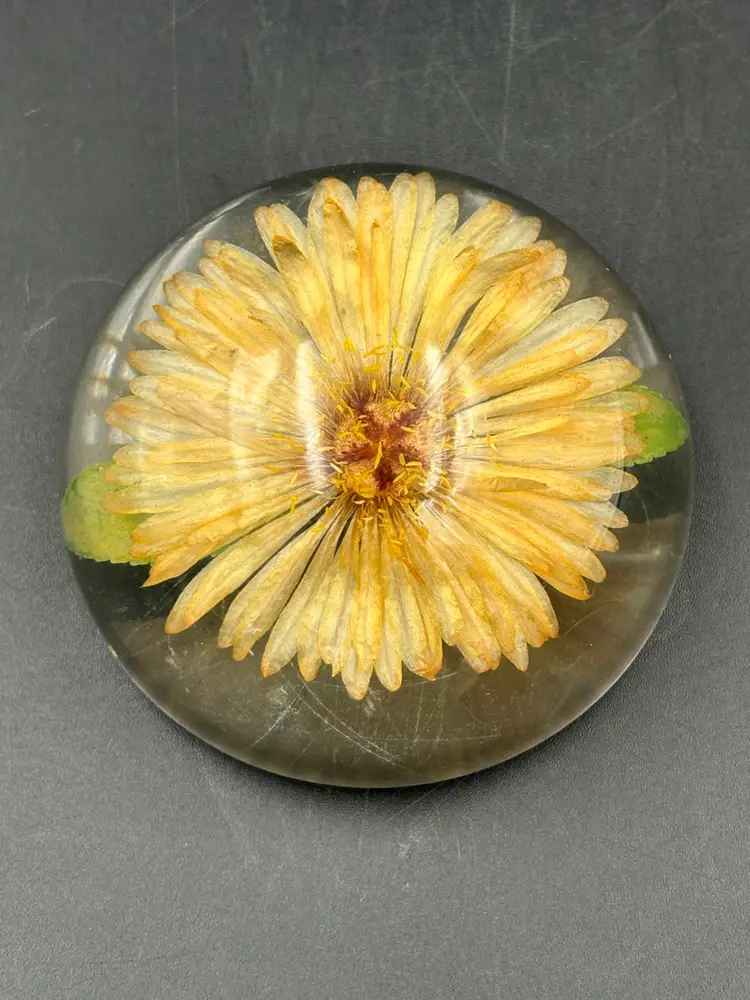 Vintage Dried Flower , Lucite Acrylic Dome Paperweight, Mum And Leaves