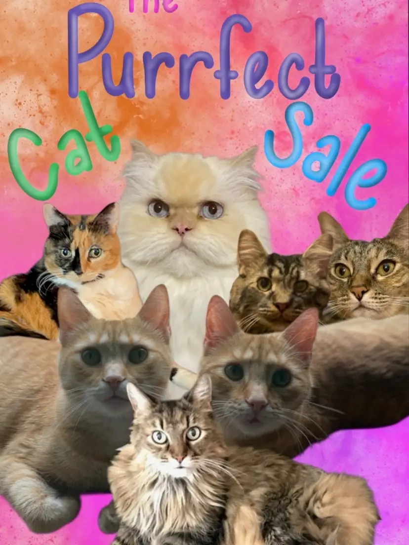 Livestream thumbnail