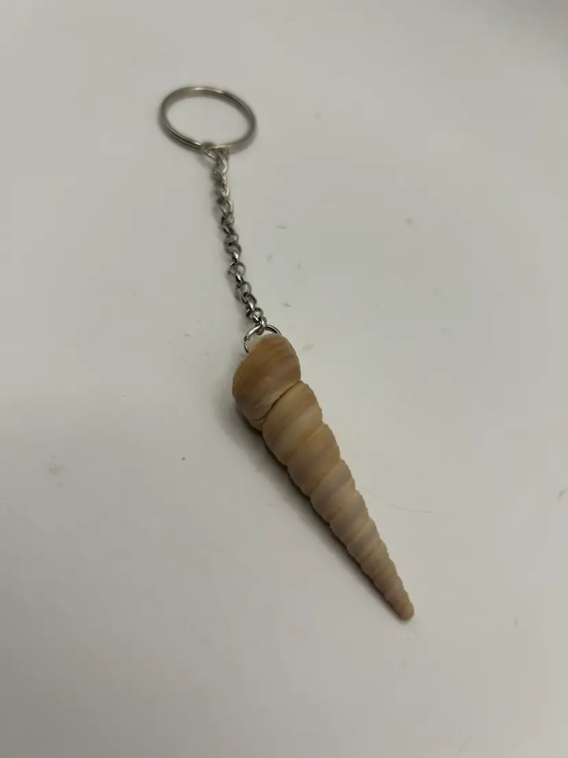 024 Seashell Key Chain