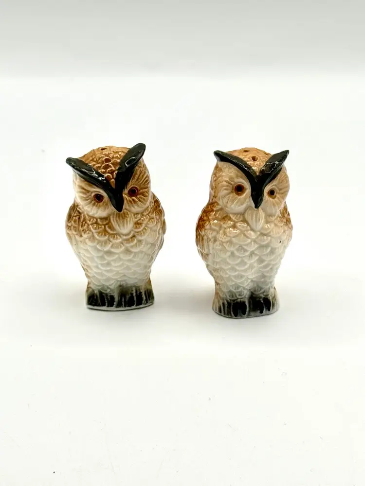 Bone China Owl Salt And Pepper Shakers