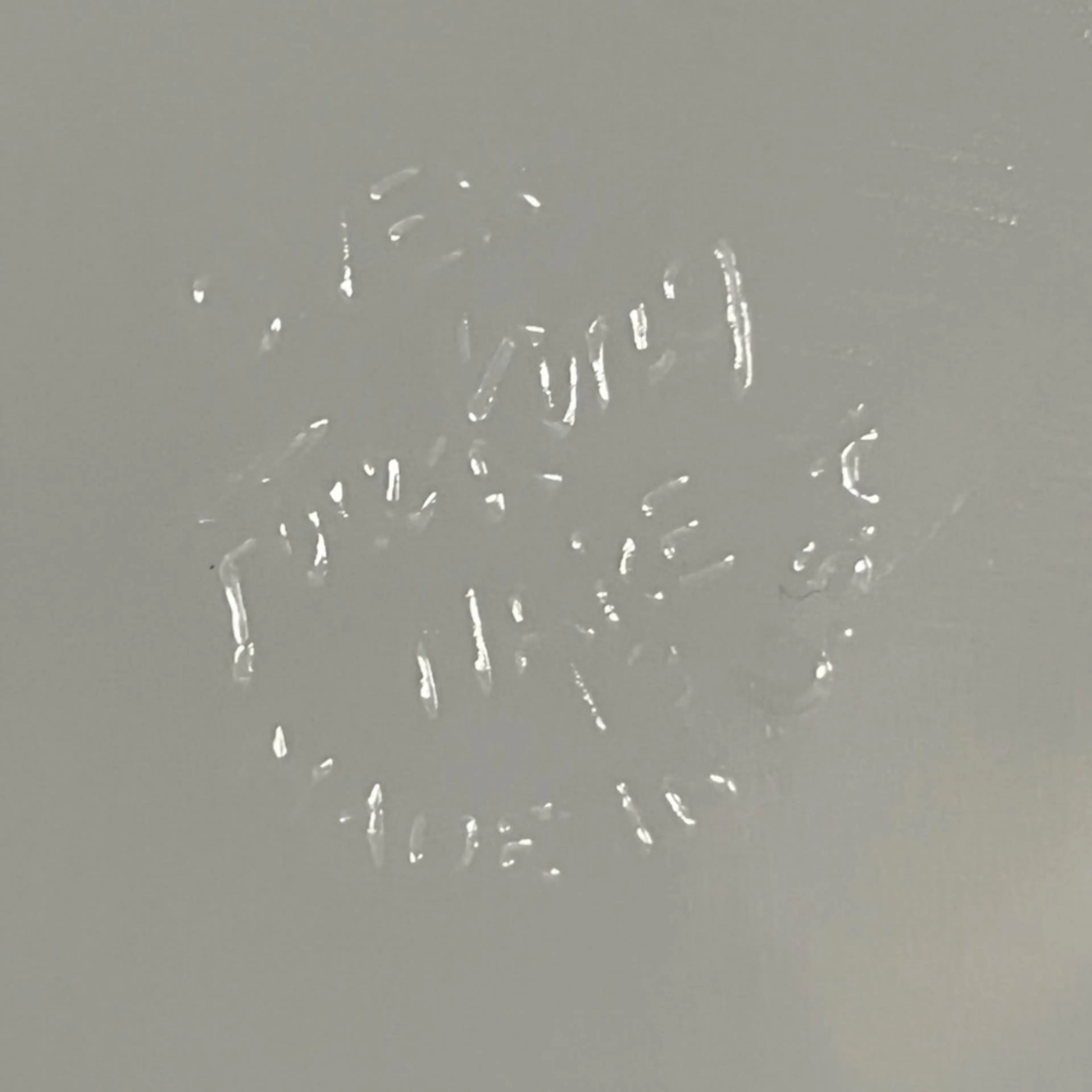 Image 4 of 5