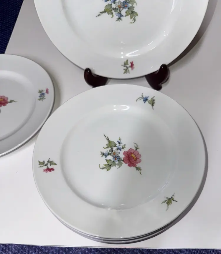 Seltmann Weiden Floral White 7.5” Salad Plate Set of 6 Bavaria, W. Germany