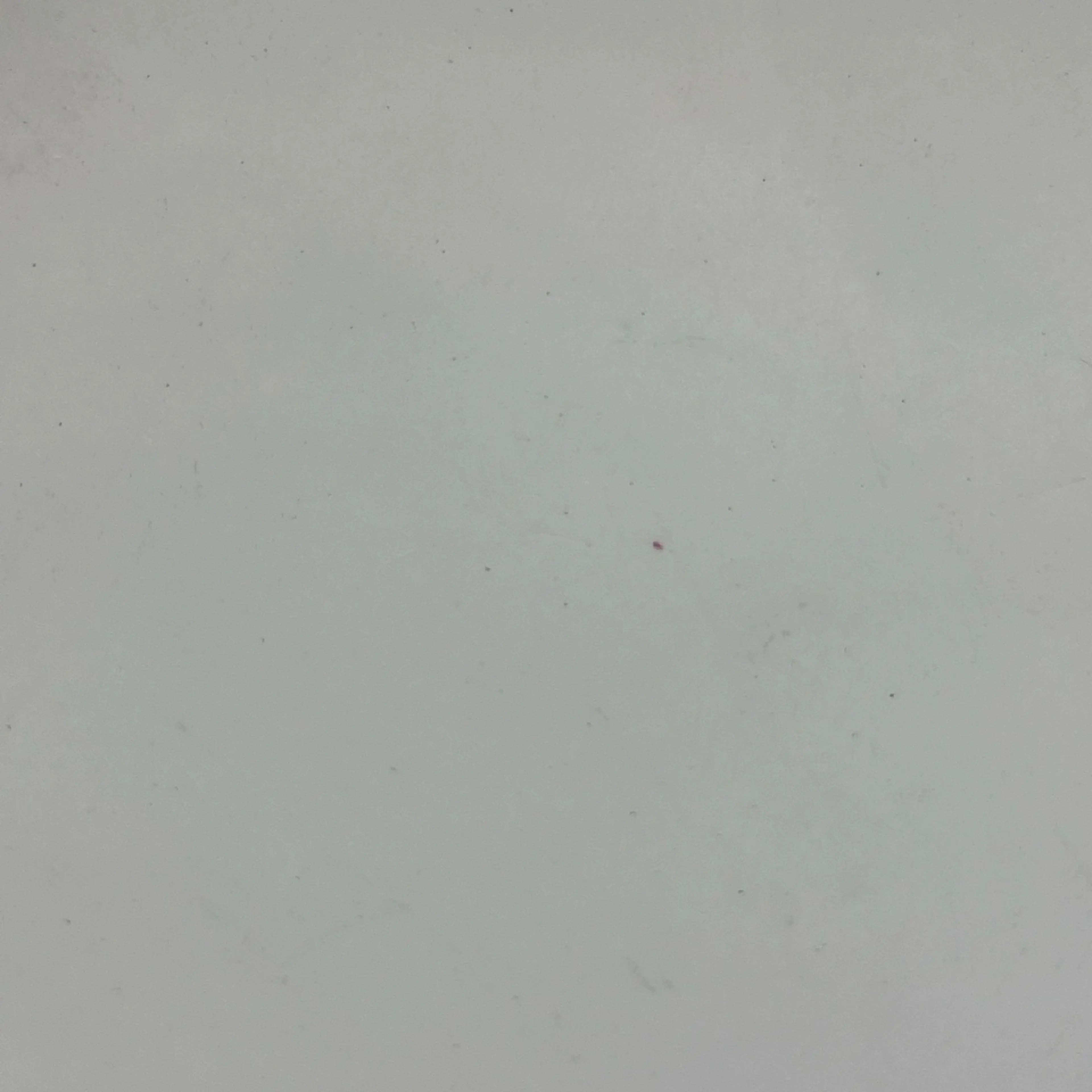 Image 5 of 13