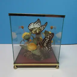 vintage butterfly glass box terrarium plastic and dried flowers