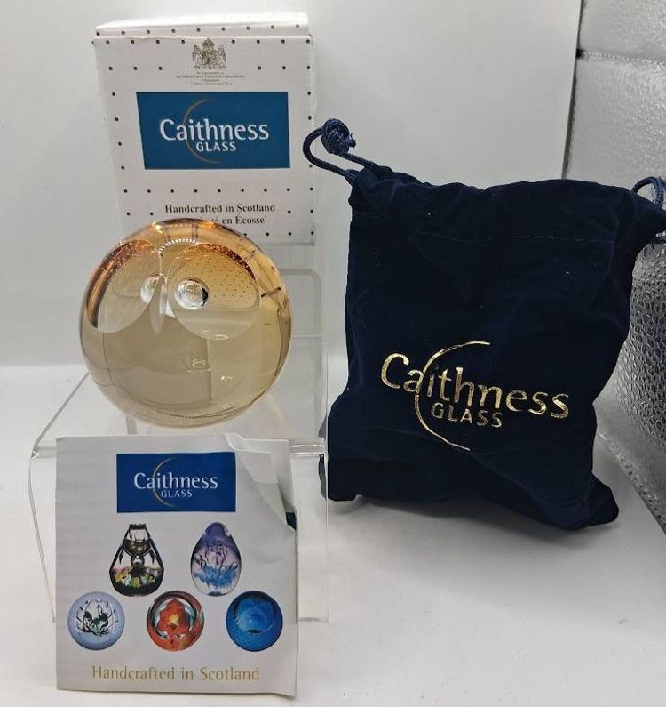 Caithness, Scotland NEW IN BOX, WISE OWL, Paperweight, Small Version