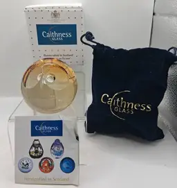 #01 Caithness, Scotland NEW IN BOX, WISE OWL, Paperweight, Small Version