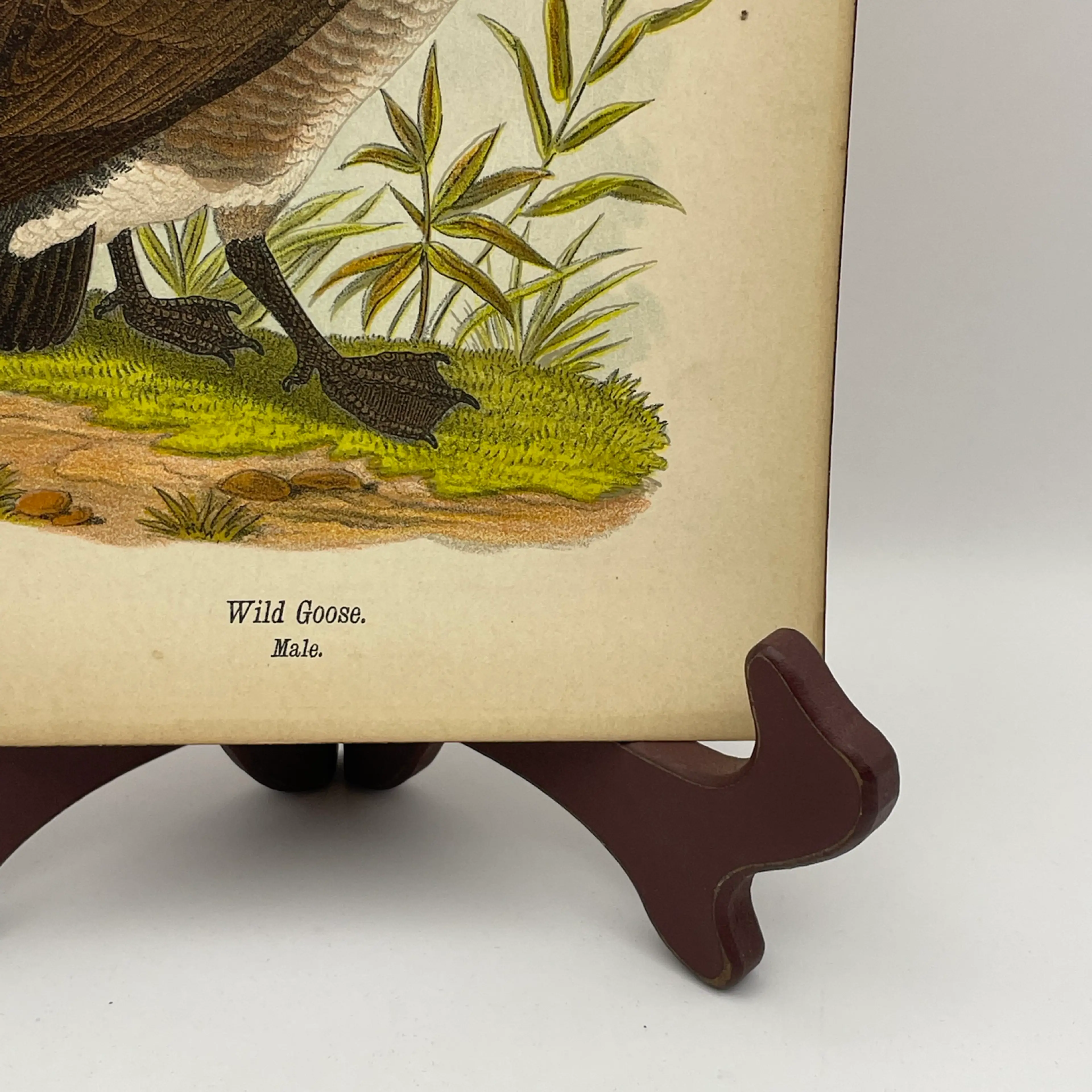 Image 4 of 8