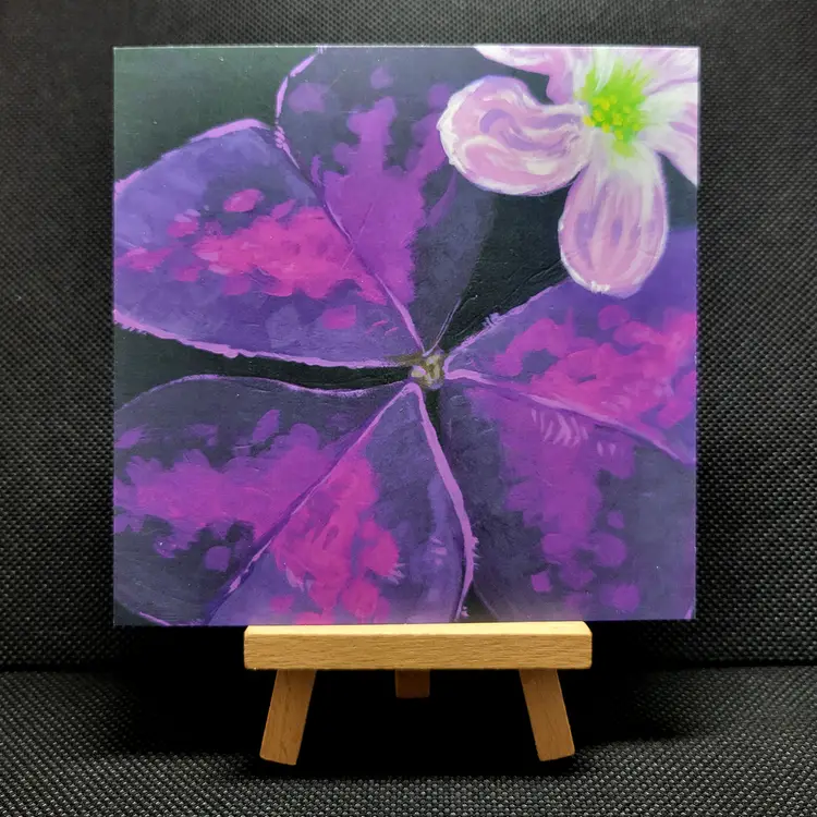 Art Prints – 'Oxalis triangularis'