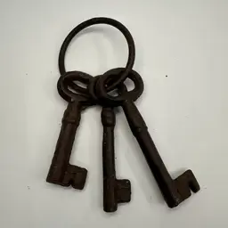 Cast Iron Skeleton Keys Ring