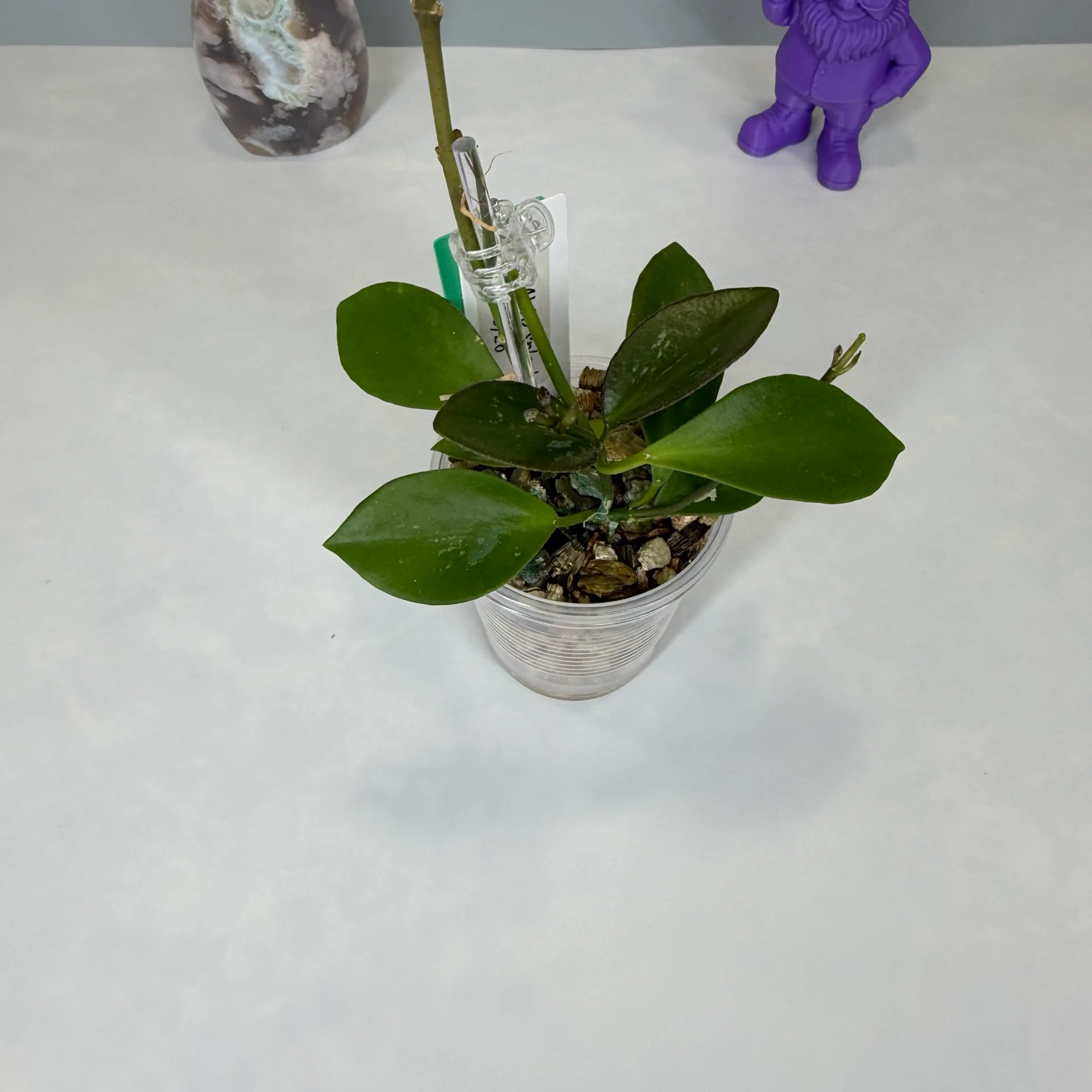 Image 3 of 3