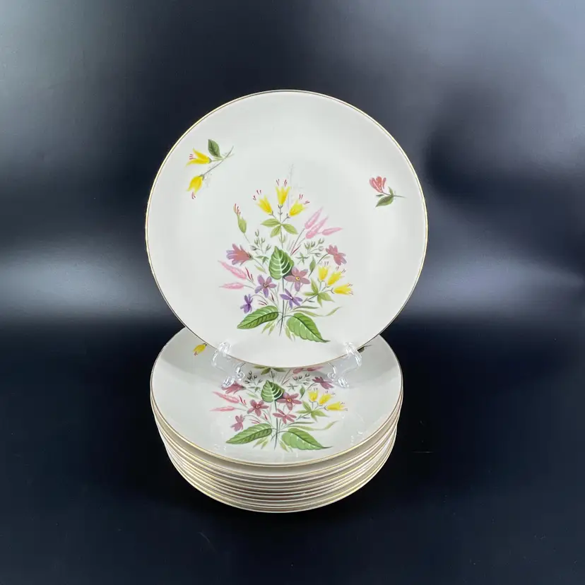 Vtg Lot 10 Pickard China April Syncron 8" Salad Plates #1103