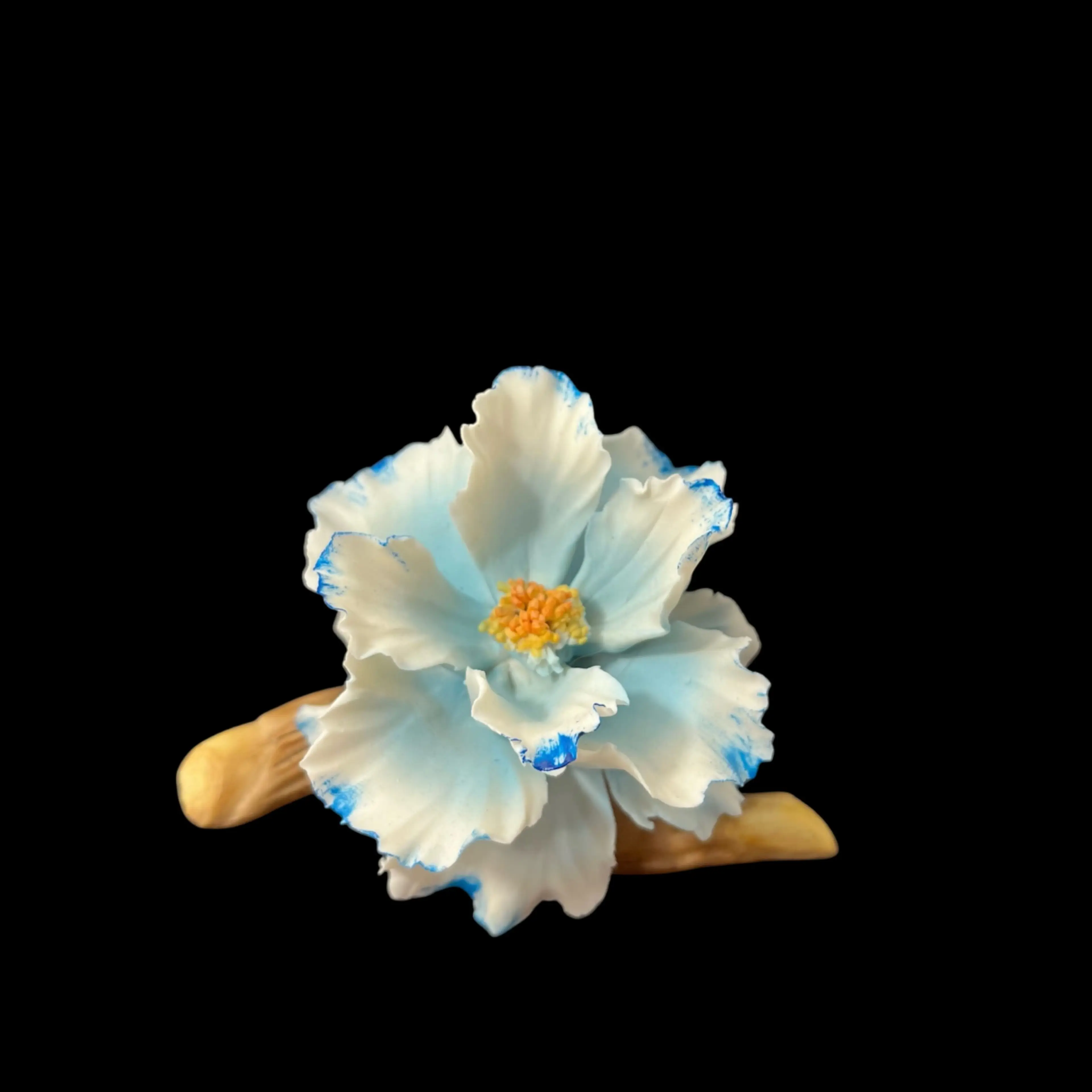 Image 2 of 10