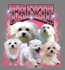 #01 - Pre-order Custom Shirt Design