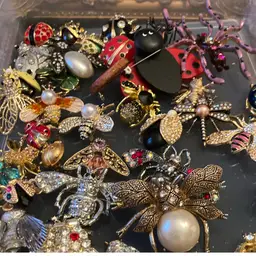 Bug Brooches