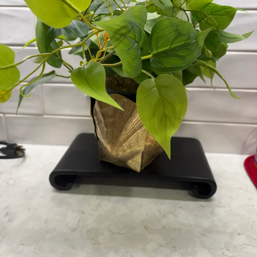 MCM Brass Seashell Planter Pot with Patina Seashore Nautical 5.75”H