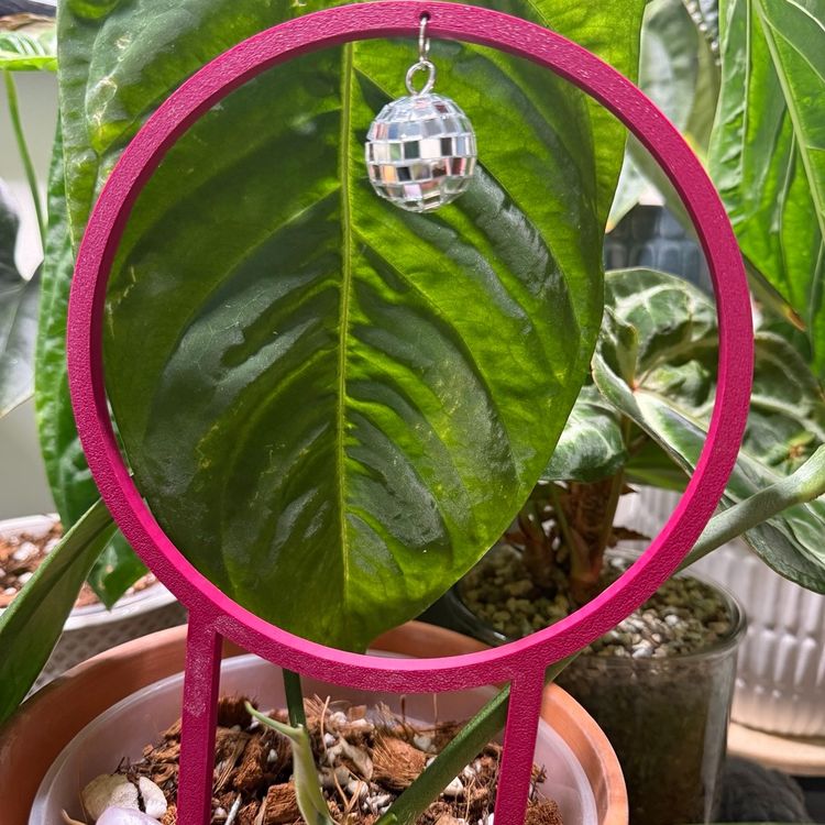 Disco Trellis - Plum