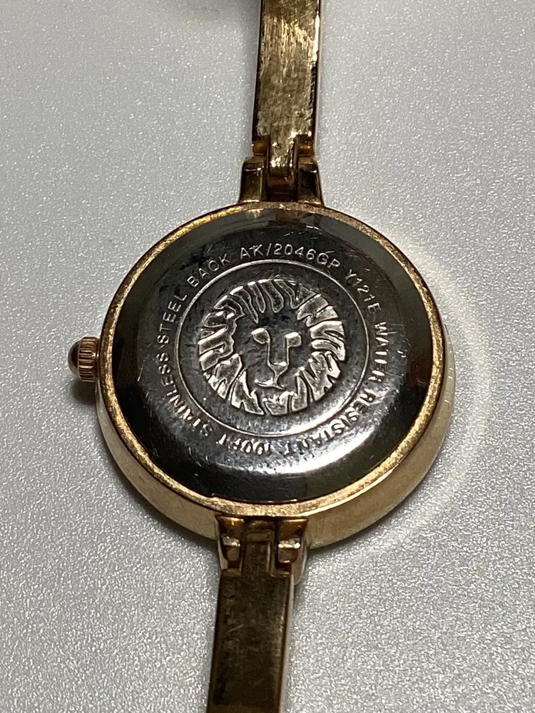 Untested Anne Klein watch