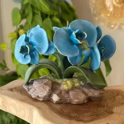Lenox Blue Orchid 💙