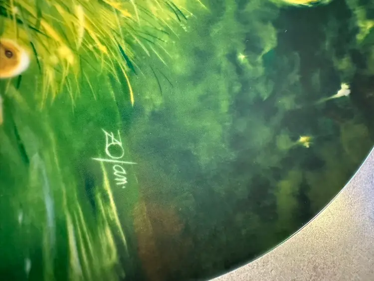 Porcelain collector plate titled 'Golden
Moment' by Donald Zolan