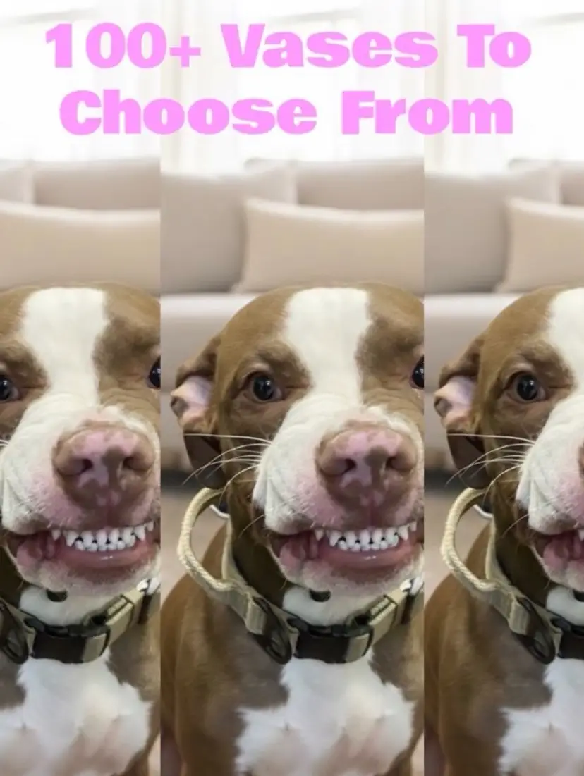 Livestream thumbnail