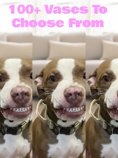 Get Ready For Spring With Beautiful Vases