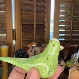 Bird With Chip On Back Of Head
