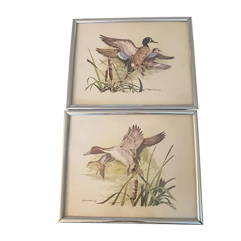 This is a pair of framed prints featuring ducks, signed by the artist Leland Brewsaugh